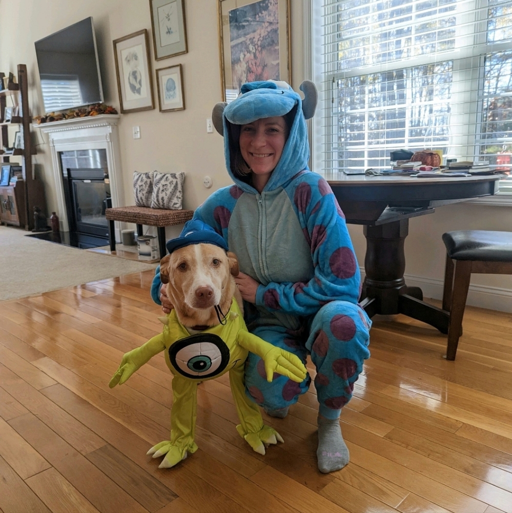 Sulley Sullivan & Mike Wazowski costumes